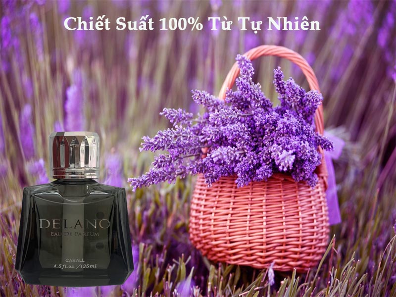 Top 5 Mẫu Nước Hoa Xe Hơi Ưa Chuộng Nhất Năm 2025