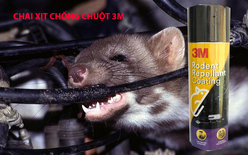 Chai Xịt Chống Chuột 3M