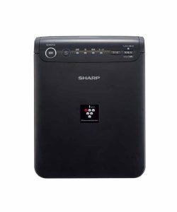 Máy Lọc Không Khí Ô Tô Sharp IG-HCF15 - Nội Địa Nhật